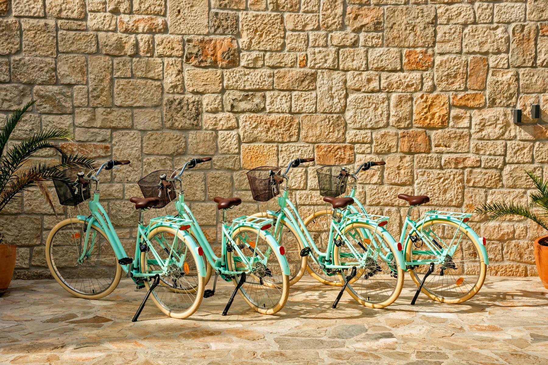 Retro bikes for guests