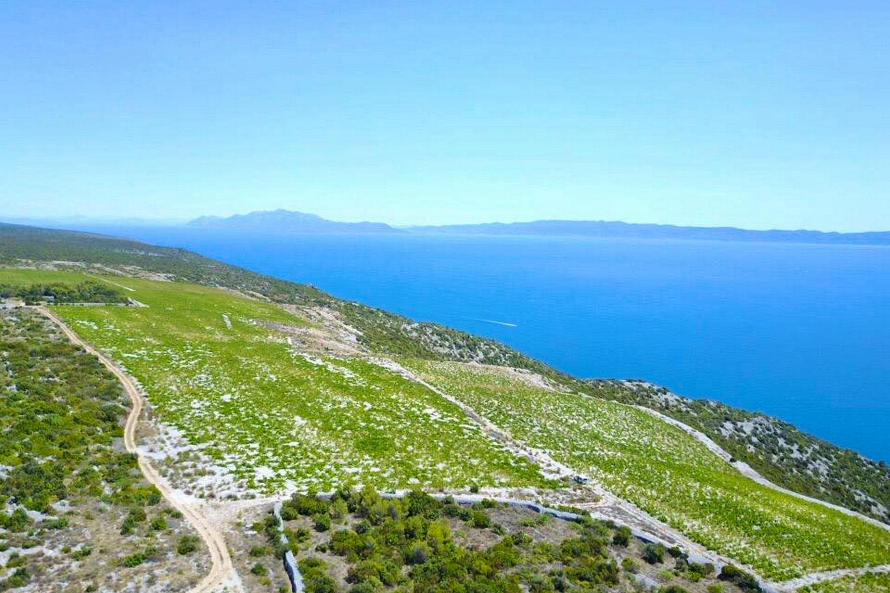 Plot with vineyard and open sea view on Hvar for sale