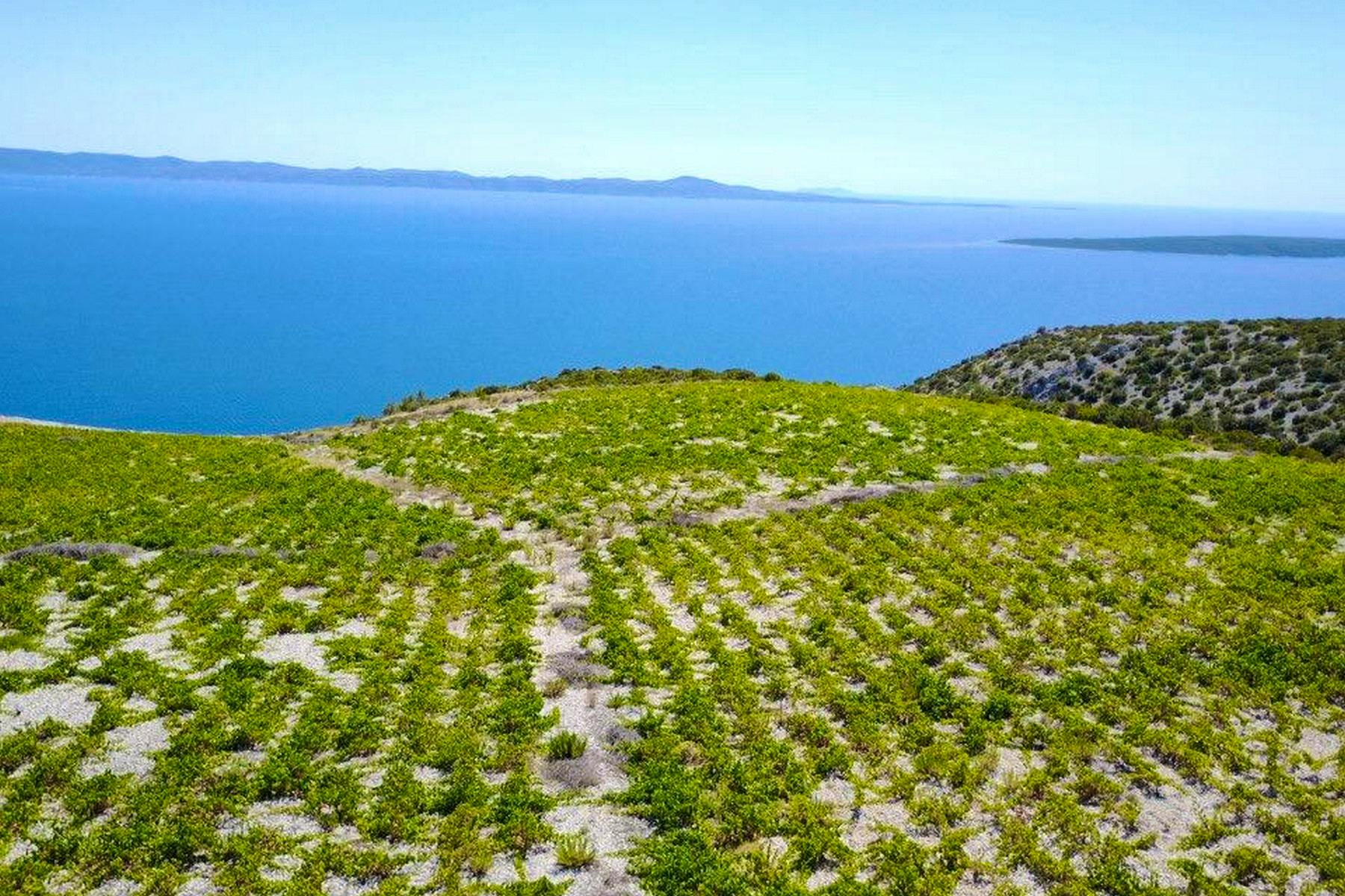 Agricultural plot with sea view on Hvar for sale