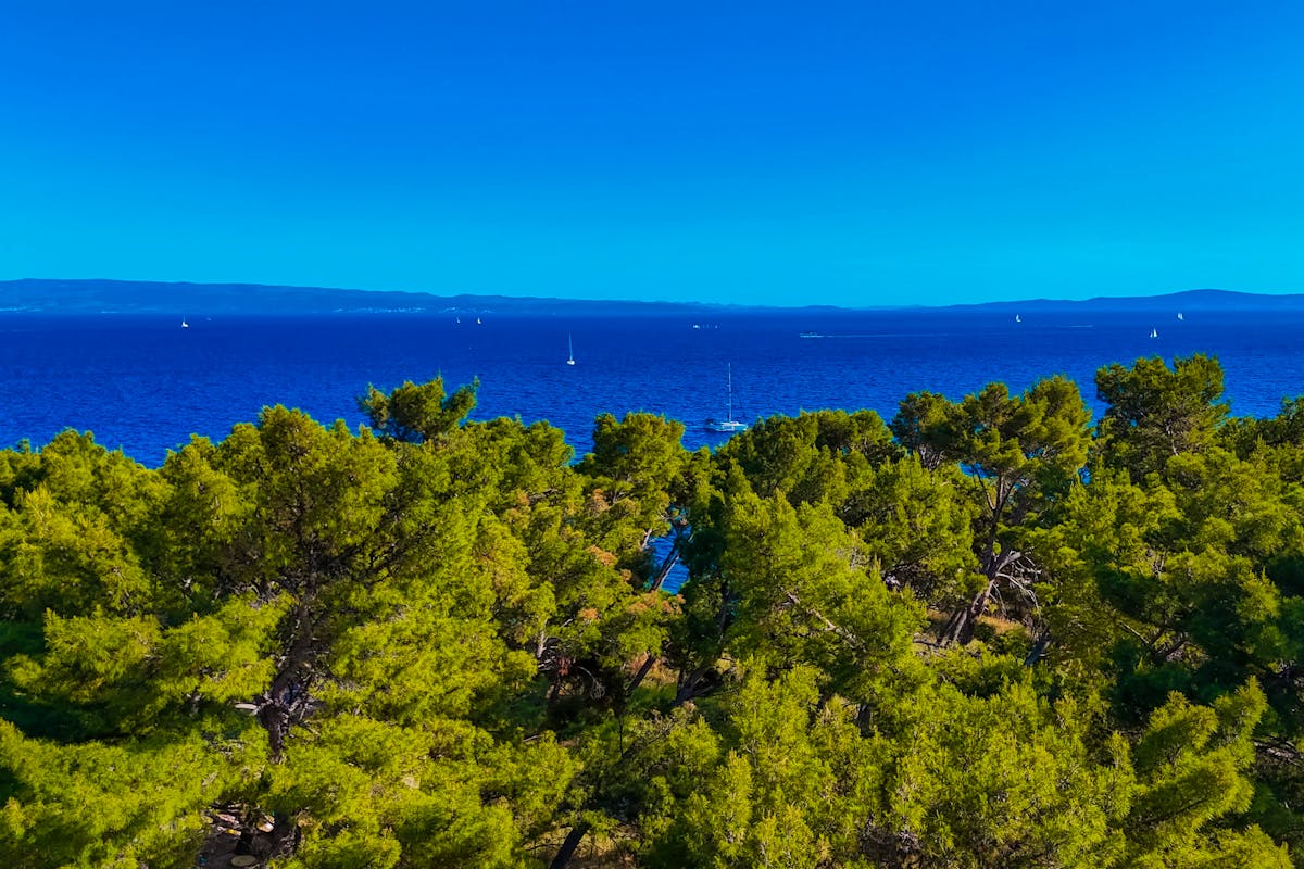 Spectacular open sea view from the villa