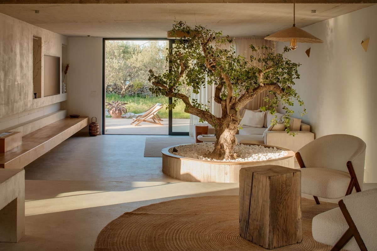 Prostrani dnevni boravak s integriranim stablom masline