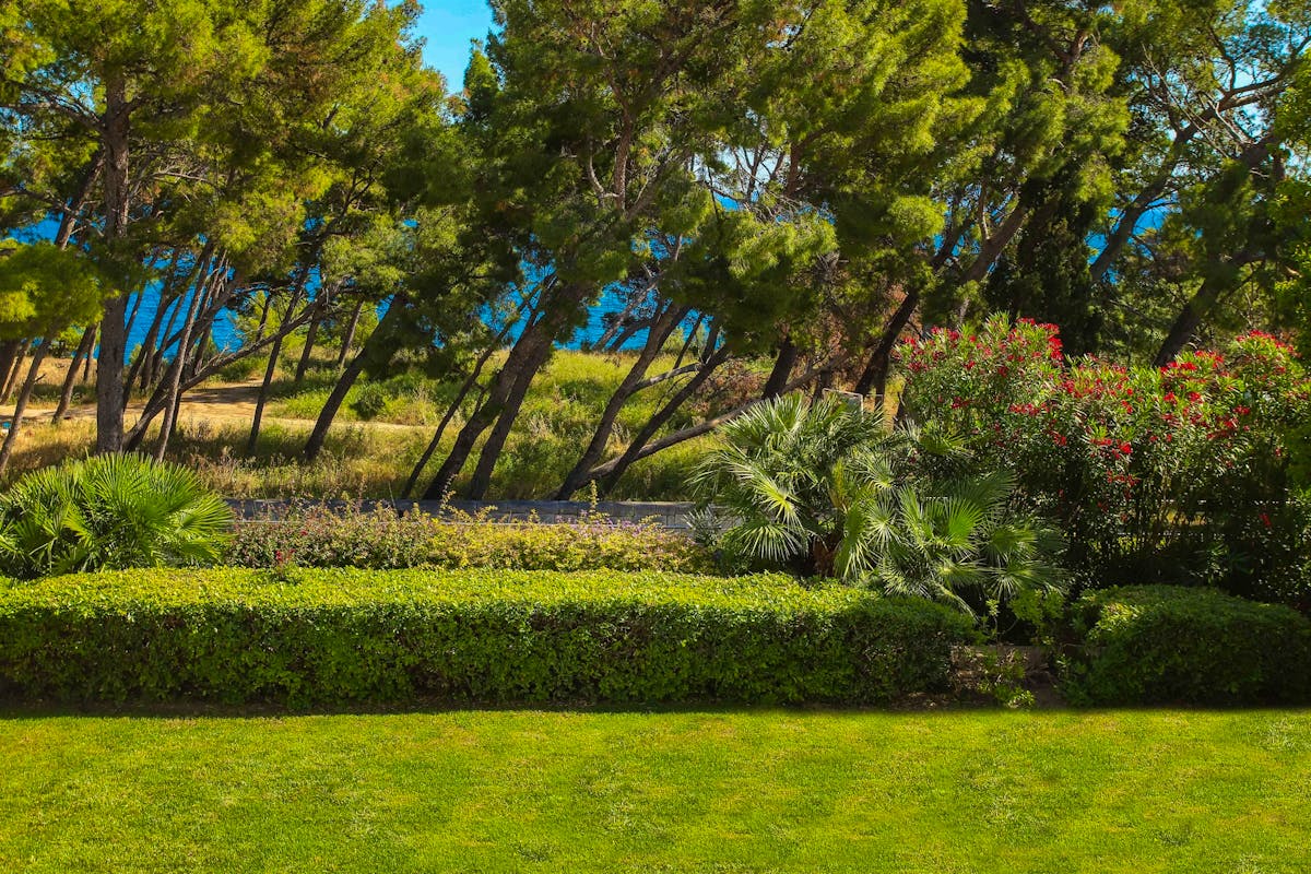 Spectacular view of the sea and the forest