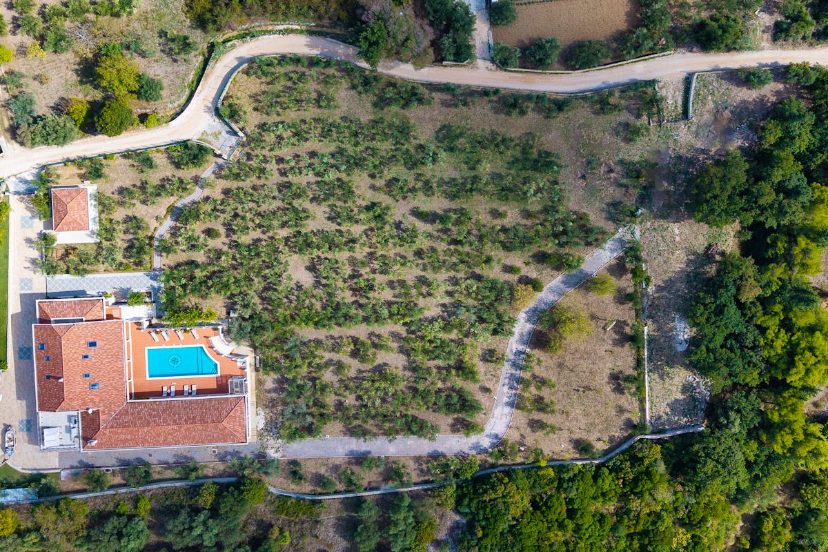 Magnificent residence with olive grove near Split for sale
